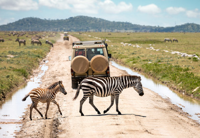 3 Days Tanzania Mid-Range Lodge Safari