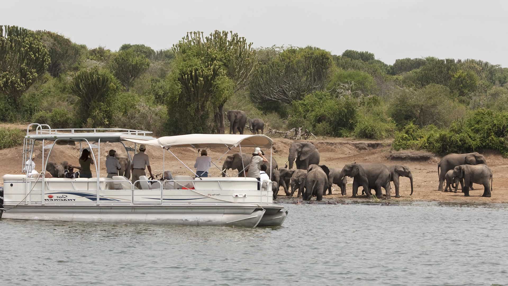 Kazing Boat