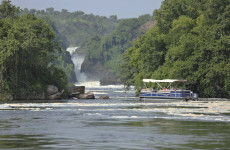 5-Day Uganda Art Safari in Murchison Falls
