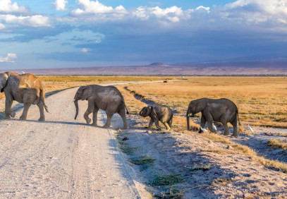 3-Day Amboseli National Park Safari