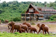 7 Days Samburu, Aberdares, Lake Nakuru & Masai Mara Safari