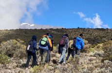 8 Days Mount Kilimanjaro Lemosho Route Trek