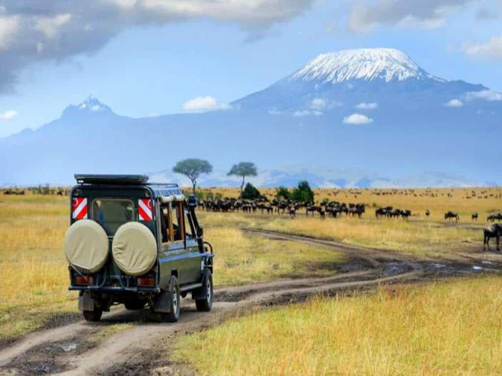 Amboseli National Park 039 1024x768 Ambo