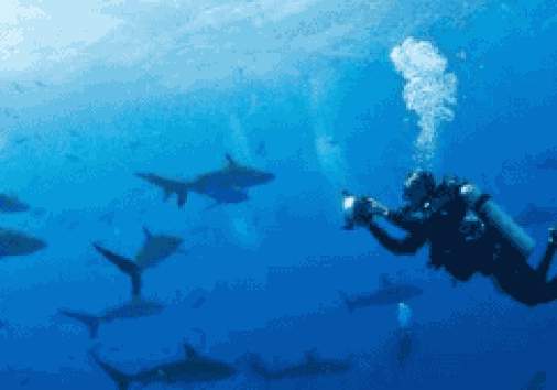 Captura De Pantalla 2024 02 29 153404