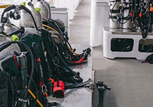 Captura De Pantalla 2024 02 29 154621