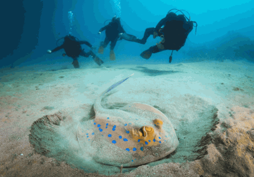 Captura De Pantalla 2024 02 29 154737