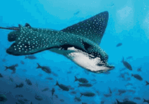 Captura De Pantalla 2024 02 29 161324