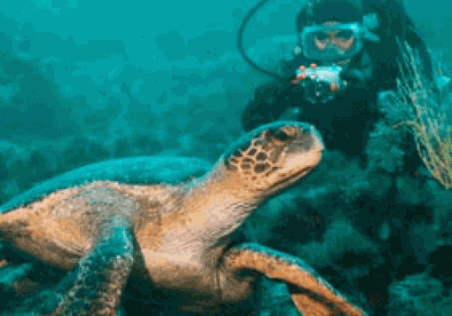 Captura De Pantalla 2024 02 29 161618