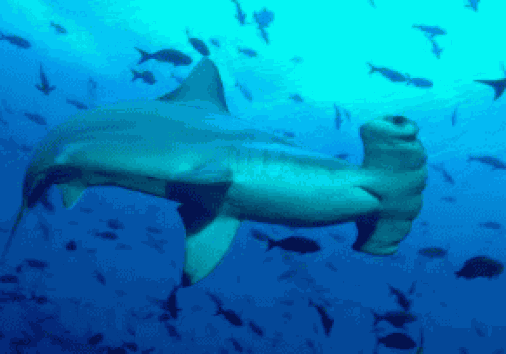 Captura De Pantalla 2024 02 29 161623