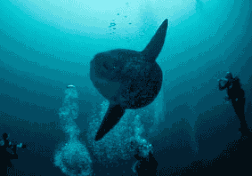 Captura De Pantalla 2024 02 29 162103