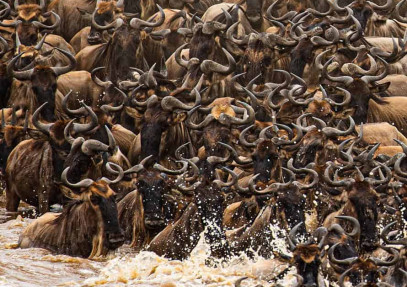 3-Day Best of Tanzania in Mikumi National Park