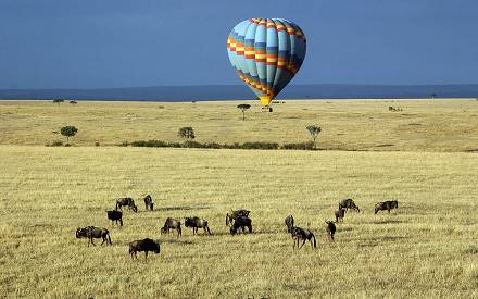 Masai Mara National Reserve 051