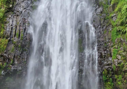 1-Day Materuni Waterfall and Coffee Tour