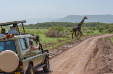 2 Days Tanzania Safari Extension after Kilimanjaro Trek