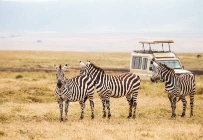 3 Days Unforgettable Serengeti Mid-Range Lodge Safari