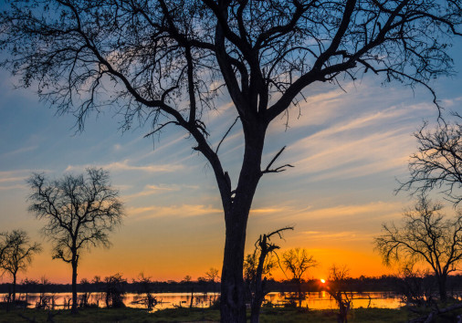 Botswana.,okavango,delta.,khwai,concession.,sunset,over,the,khwai,river.