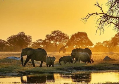 11-Nights Zimbabwe Safari – Budget