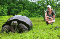 8-Day Wildlife Encounters & Island Hopping