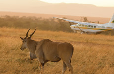 6 Days Amazing Fly-in Southern Tanzania Safari