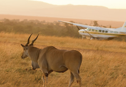 6 Days Amazing Fly-in Southern Tanzania Safari