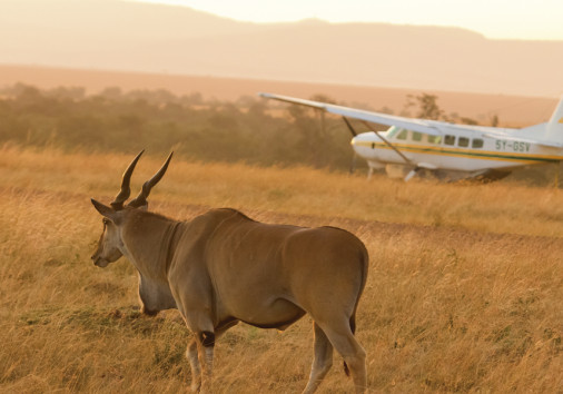 Fly Back To Arusha