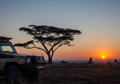 5 Days Tanzania Luxury and Budget Lodge Safari