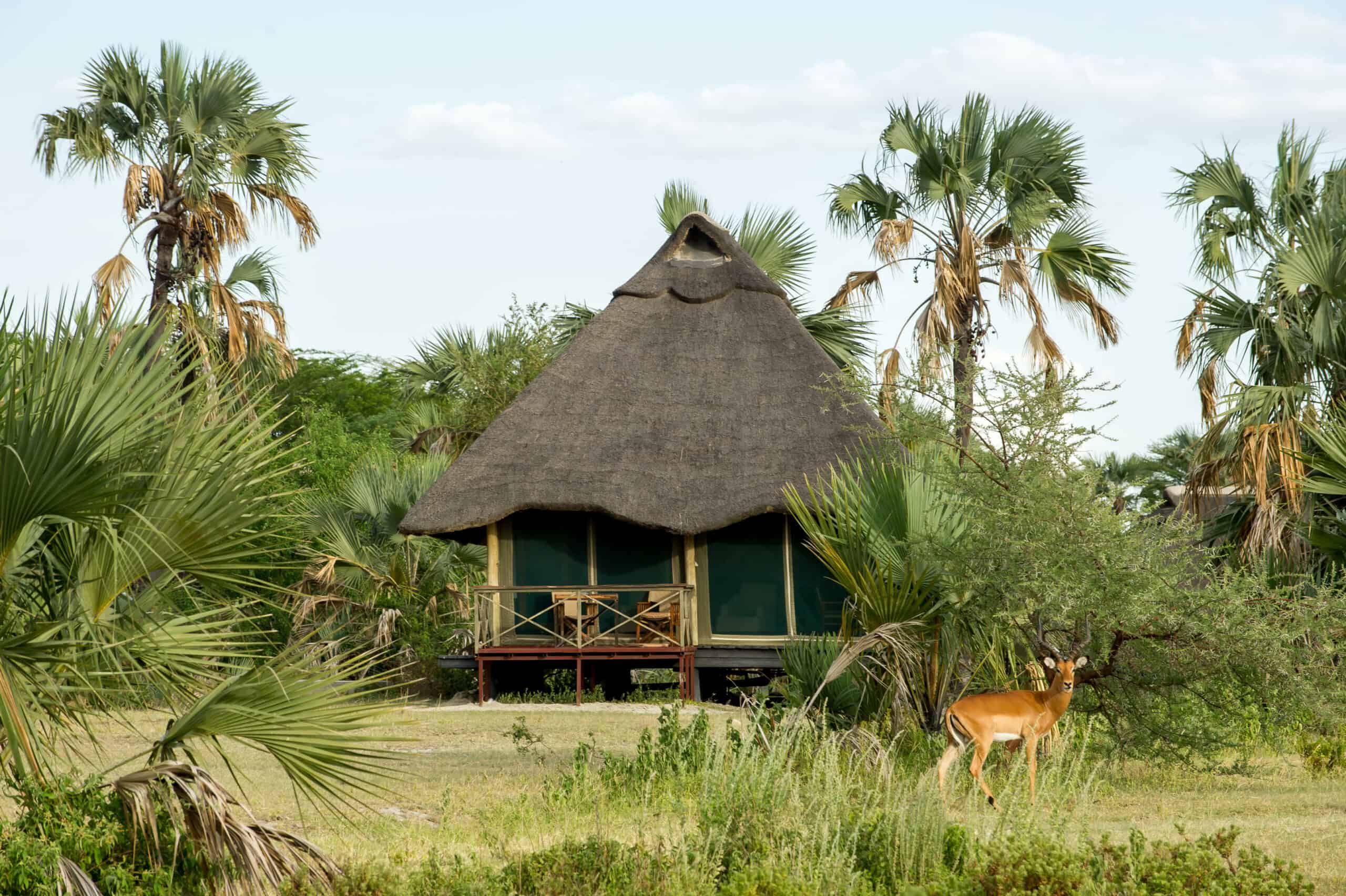 Maramboi Tented Camp Tarangire 1 Scaled