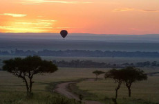 2 Days Masai Mara Safari