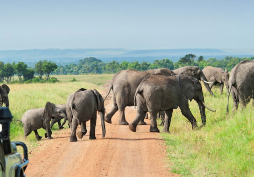 Nyerere National Park 3