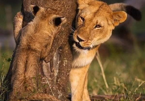 Whatsapp Image 2024 03 15 At 13.02.36(1)