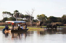 8 Days Southern Tanzania Safari by Road