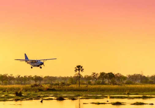 Fly In Safari2