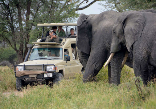 Lodge Safari In Tanzania