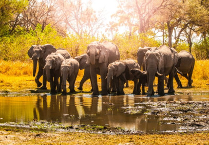 6 Days Amazing Southern Tanzania Fly-in Safari