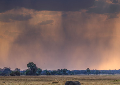 18-Day The Complete Kafue Safari