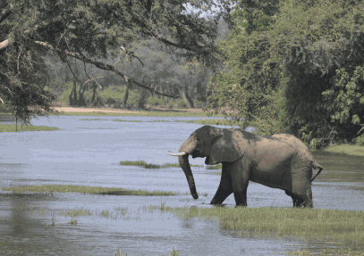 14-Day Great Valleys of Zambia