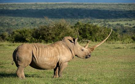 Solio Ranch Game Reserve 001