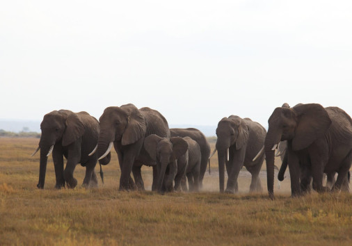 Whatsapp Image 2025 04 03 At 2.28.59 Am