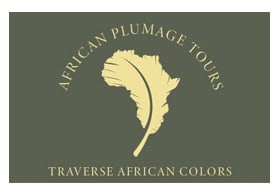 African Plumage Tours