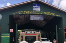 4 Days Classic Ngorongoro Safari Adventure