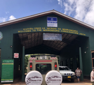 4 Days Classic Ngorongoro Safari Adventure