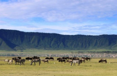 4-Day Tarangire, Ngorongoro & Kilimanjaro Safari