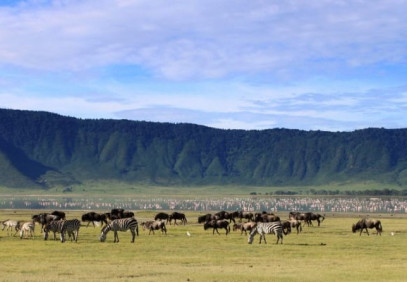 4-Day Tarangire, Ngorongoro & Kilimanjaro Safari
