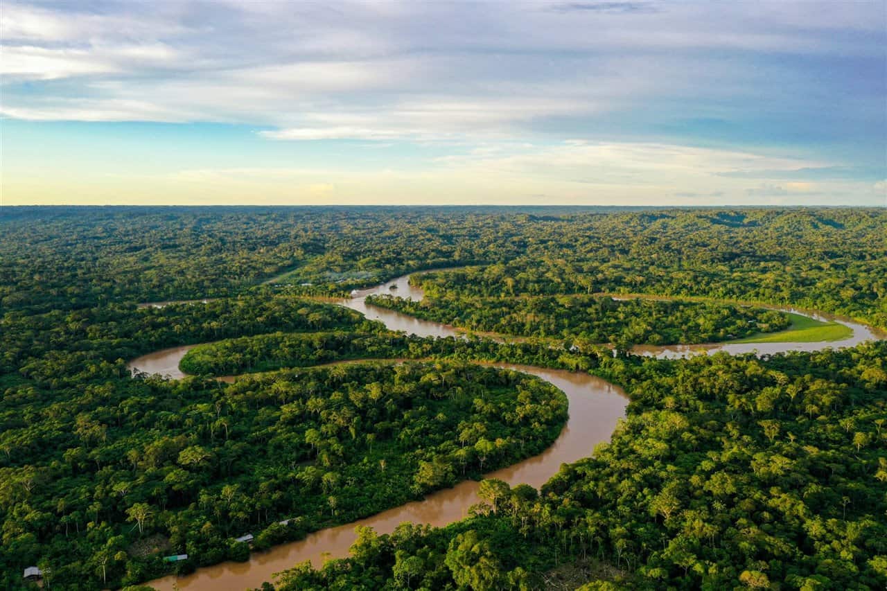Entrance To The Amazon Rainforest