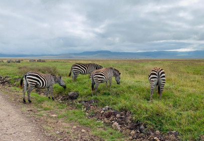 4-Day Four Parks Mid-Range Safari