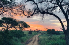 4-Day Tanzania Four Parks Private Safari