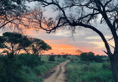 4-Day Tanzania Four Parks Private Safari