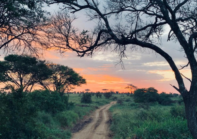 4-Day Tanzania Four Parks Private Safari