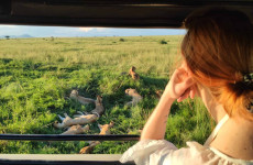 7-Day Wildebeest Migration Mara River Crossing