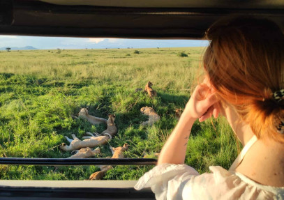 7-Day Wildebeest Migration Mara River Crossing